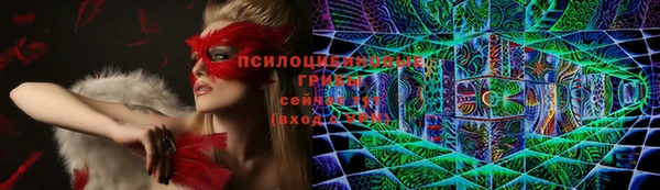 героин Рославль