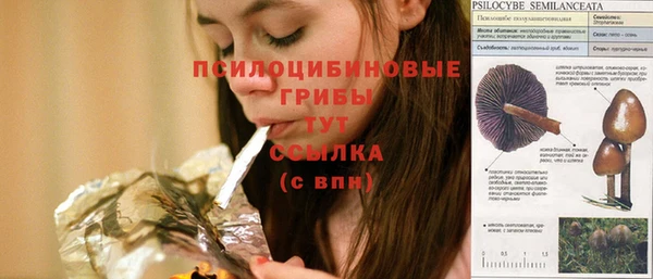 герыч Россошь