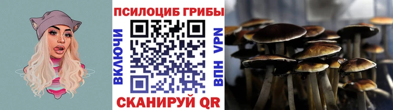 продажа наркотиков  Ялуторовск  Псилоцибиновые грибы Psilocybine cubensis 